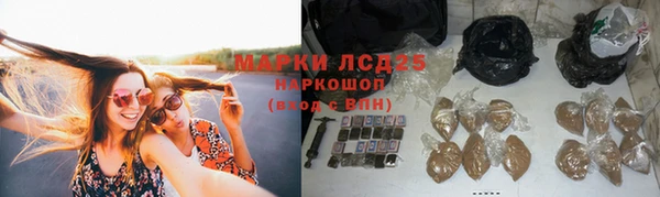 трава Гусиноозёрск