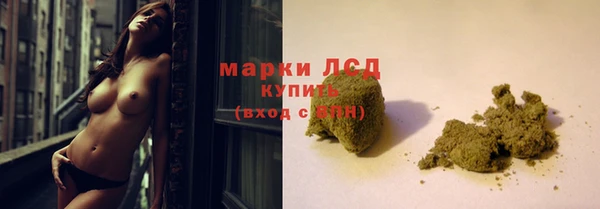 трава Гусиноозёрск