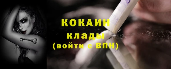 трава Гусиноозёрск
