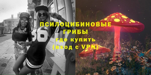 трава Гусиноозёрск